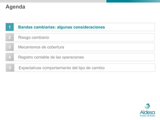 Agenda


1   Bandas cambiarias: algunas consideraciones

2   Riesgo cambiario

3   Mecanismos de cobertura

4   Registro contable de las operaciones

5   Expectativas comportamiento del tipo de cambio
 