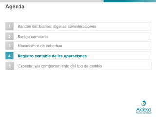 Agenda


1   Bandas cambiarias: algunas consideraciones

2   Riesgo cambiario

3   Mecanismos de cobertura

4   Registro contable de las operaciones

5   Expectativas comportamiento del tipo de cambio
 
