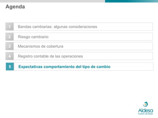 Agenda


1   Bandas cambiarias: algunas consideraciones

2   Riesgo cambiario

3   Mecanismos de cobertura

4   Registro contable de las operaciones

5   Expectativas comportamiento del tipo de cambio
 