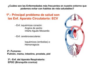 ¿Cuáles son las Enfermedades más frecuentes en nuestro entorno que
           podemos evitar con habitos de vida saludables?

1º.- Principal problema de salud son
 las Enf. Aparato Circulatorio: ECV

       - Enf. isquémicas corazón:
                  Angina de pecho
                  Infarto Agudo Miocardio

       - Enf. cerebrovasculares:

                Isquémicos (embolias) o
                Hemorragicos

2º.-Tumores:
Pulmón, mama, intestino, prostata, piel

 3º.- Enf. del Aparato Respiratorio:
 EPOC (Bronquitis cronica)
 