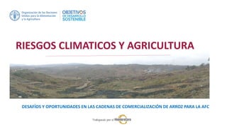 RIESGOS CLIMATICOS Y AGRICULTURA
DESAFÍOS Y OPORTUNIDADES EN LAS CADENAS DE COMERCIALIZACIÓN DE ARROZ PARA LA AFC
 