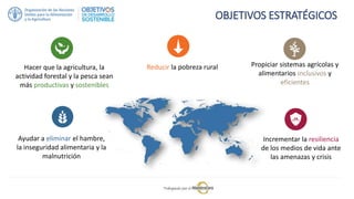 Ayudar a eliminar el hambre,
la inseguridad alimentaria y la
malnutrición
Hacer que la agricultura, la
actividad forestal y la pesca sean
más productivas y sostenibles
Reducir la pobreza rural Propiciar sistemas agrícolas y
alimentarios inclusivos y
eficientes
Incrementar la resiliencia
de los medios de vida ante
las amenazas y crisis
OBJETIVOS ESTRATÉGICOS
 