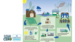 La temperatura y precipitación
extrema puede aumentar la carga
de patógenos
El clima puede alterar las
semillas, los insectos y las
poblaciones de hongos y
aumentar el uso de plaguicidas
El creciente dióxido de carbono
puede influenciar en el contenido
nutricional de los alimentos
Las temperaturas más calientes
puede resultar en mayor perdida de
alimentos
Los eventos extremos puedes
alterar la distribución de
alimentos
 
