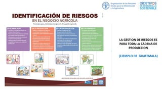 LA GESTION DE RIESGOS ES
PARA TODA LA CADENA DE
PRODUCCION
(EJEMPLO DE GUATEMALA)
 