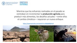 Mientras que los esfuerzos realizados en el pasado se
centraban en incrementar la producción agrícola para
producir más alimentos, los desafíos actuales —entre ellos
el cambio climático— requieren un nuevo enfoque.
https://www.youtube.com/watch?v=vWgdgMg9neA
 