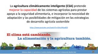 La agricultura climáticamente inteligente (CSA) pretende
mejorar la capacidad de los sistemas agrícolas para prestar
apoyo a la seguridad alimentaria, e incorporar la necesidad de
adaptación y las posibilidades de mitigación en las estrategias
de desarrollo agrícola sostenible
https://www.youtube.com/watch?v=OAuVNlyaBZ0
 