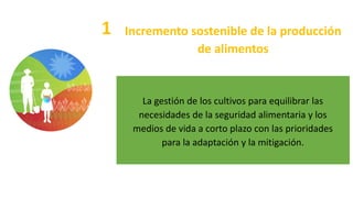 La gestión de los cultivos para equilibrar las
necesidades de la seguridad alimentaria y los
medios de vida a corto plazo con las prioridades
para la adaptación y la mitigación.
1 Incremento sostenible de la producción
de alimentos
 