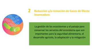 La gestión de los ecosistemas y el paisaje para
conservar los servicios del ecosistema que son
importantes para la seguridad alimentaria, el
desarrollo agrícola, la adaptación y la mitigación
2 Reducción y/o remoción de Gases de Efecto
Invernadero
 