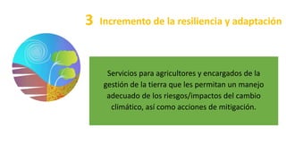 Servicios para agricultores y encargados de la
gestión de la tierra que les permitan un manejo
adecuado de los riesgos/impactos del cambio
climático, así como acciones de mitigación.
3 Incremento de la resiliencia y adaptación
 