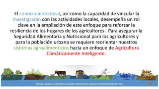 El conocimiento local, así como la capacidad de vincular la
investigación con las actividades locales, desempeña un rol
clave en la ampliación de este enfoque para reforzar la
resiliencia de los hogares de los agricultores. Para asegurar la
Seguridad Alimentaria y Nutricional para los agricultores y
para la población urbana se requiere reorientar nuestros
sistemas agroalimenticios hacia un enfoque de Agricultura
Climáticamente Inteligente.
 