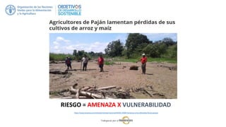 https://www.ecuavisa.com/articulo/noticias/nacional/65030-10000-hectareas-arroz-afectadas-lluvias-guayas
RIESGO = AMENAZA X VULNERABILIDAD
 