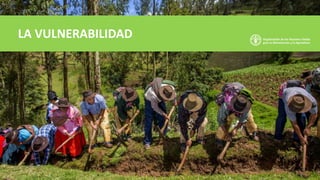 LA VULNERABILIDAD
 