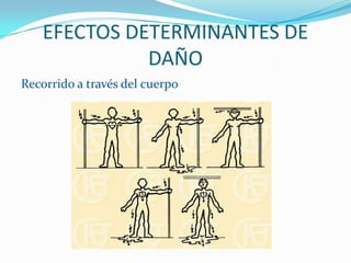 EFECTOS DETERMINANTES DE
             DAÑO
Recorrido a través del cuerpo
 