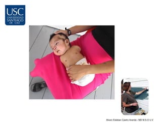 Alvaro Esteban Castro Aranda - MD M.S.O U.V
 