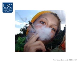 Alvaro Esteban Castro Aranda - MD M.S.O U.V
 