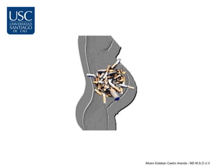 Alvaro Esteban Castro Aranda - MD M.S.O U.V
 