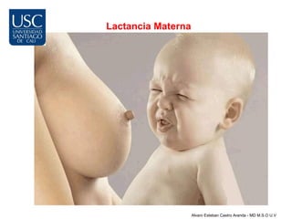 Lactancia Materna




                    Alvaro Esteban Castro Aranda - MD M.S.O U.V
 