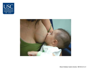 Alvaro Esteban Castro Aranda - MD M.S.O U.V
 