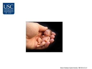 Alvaro Esteban Castro Aranda - MD M.S.O U.V
 