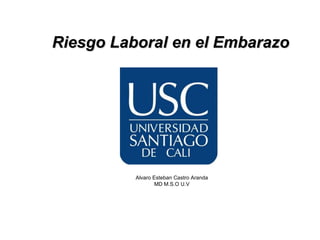 Riesgo Laboral en el Embarazo




          Alvaro Esteban Castro Aranda
                  MD M.S.O U.V
 