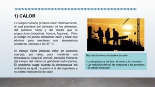 1) CALOR
El cuerpo humano produce calor continuamente,
el cual proviene del consumo de los alimentos,
del ejercicio físico y del medio que lo
proporciona (máquinas, hornos, fogones). Pero
el cuerpo no puede almacenar calor y tiene que
eliminar para mantener una temperatura
constante, cercana a los 37° C.
El trabajo físico produce calor en nuestros
cuerpos, por tanto, para mantener una
temperatura corporal normal, necesita liberarse
del exceso del mismo (a glándulas sudoríparas).
El problema surge cuando la temperatura del
ambiente es igual o superior a la del organismo y
no existe intercambio de calor.
Hay tres fuentes principales de calor:
- La temperatura del aire, el viento y la humedad.
- Lar radiación del sol, las máquinas y los procesos.
- El trabajo muscular.
 