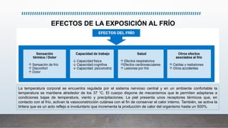 EFECTOS DE LA EXPOSICIÓN AL FRÍO
La temperatura corporal se encuentra regulada por el sistema nervioso central y en un ambiente confortable la
temperatura se mantiene alrededor de los 37 °C. El cuerpo dispone de mecanismos que le permiten adaptarse a
condiciones bajas de temperatura, viento y precipitaciones. La piel presenta unos receptores térmicos que, en
contacto con el frío, activan la vasoconstricción cutánea con el fin de conservar el calor interno. También, se activa la
tiritera que es un acto reflejo e involuntario que incrementa la producción de calor del organismo hasta un 500%.
 