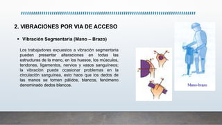 2. VIBRACIONES POR VIA DE ACCESO
 Vibración Segmentaria (Mano – Brazo)
Los trabajadores expuestos a vibración segmentaria
pueden presentar alteraciones en todas las
estructuras de la mano, en los huesos, los músculos,
tendones, ligamentos, nervios y vasos sanguíneos;
la vibración puede ocasionar problemas en la
circulación sanguínea, esto hace que los dedos de
las manos se tornen pálidos, blancos, fenómeno
denominado dedos blancos.
 