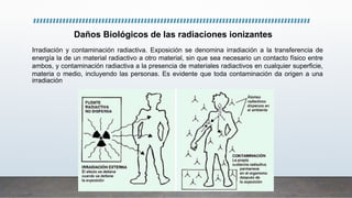 Irradiación y contaminación radiactiva. Exposición se denomina irradiación a la transferencia de
energía la de un material radiactivo a otro material, sin que sea necesario un contacto físico entre
ambos, y contaminación radiactiva a la presencia de materiales radiactivos en cualquier superficie,
materia o medio, incluyendo las personas. Es evidente que toda contaminación da origen a una
irradiación
Daños Biológicos de las radiaciones ionizantes
 