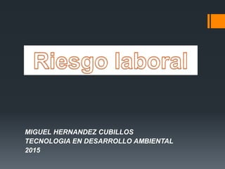 MIGUEL HERNANDEZ CUBILLOS
TECNOLOGIA EN DESARROLLO AMBIENTAL
2015
 