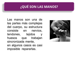 Las manos son una de
las partes más complejas
del cuerpo, su estructura
consiste en nervios,
tendones, tejidos y
huesos que trabajan
sincronizada mente,
en algunos casos es casi
imposible repararlas.
¿QUÉ SON LAS MANOS?
 