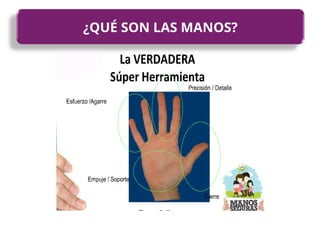 ¿QUÉ SON LAS MANOS?
 