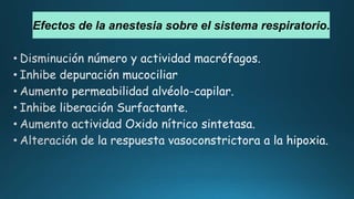 Efectos de la anestesia sobre el sistema respiratorio.
 