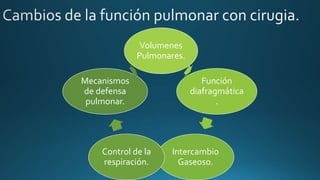 Volumenes
Pulmonares.
Función
diafragmática
.
Intercambio
Gaseoso.
Control de la
respiración.
Mecanismos
de defensa
pulmonar.
 
