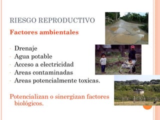 RIESGO REPRODUCTIVO
Factores ambientales

-   Drenaje
-   Agua potable
-   Acceso a electricidad
-   Areas contaminadas
-   Areas potencialmente toxicas.

Potencializan o sinergizan factores
 biológicos.
 