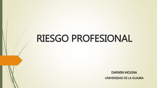 RIESGO PROFESIONAL 
DARWIN MOLINA 
UNIVERSIDAD DE LA GUAJIRA 
 