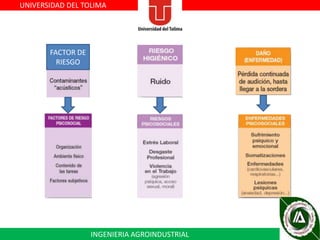 UNIVERSIDAD DEL TOLIMA

FACTOR DE
RIESGO

INGENIERIA AGROINDUSTRIAL

 