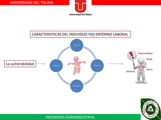UNIVERSIDAD DEL TOLIMA

CARACTERISTICAS DEL INDIVIDUO Y(0) ENTORNO LABORAL
GENETICO

La vulnerabilidad

AMBIENTAL

BIOLOGICAS

PSICOSOCIALES

INGENIERIA AGROINDUSTRIAL

 