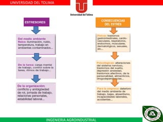 UNIVERSIDAD DEL TOLIMA

INGENIERIA AGROINDUSTRIAL

 