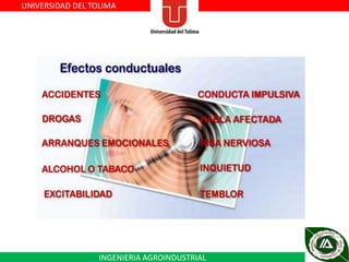 UNIVERSIDAD DEL TOLIMA

INGENIERIA AGROINDUSTRIAL

 
