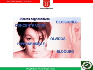 UNIVERSIDAD DEL TOLIMA

INGENIERIA AGROINDUSTRIAL

 