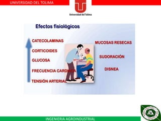 UNIVERSIDAD DEL TOLIMA

INGENIERIA AGROINDUSTRIAL

 