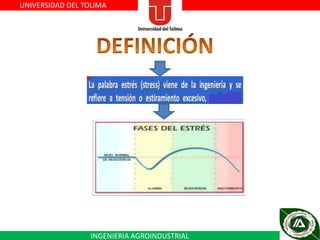UNIVERSIDAD DEL TOLIMA

INGENIERIA AGROINDUSTRIAL

 