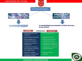 UNIVERSIDAD DEL TOLIMA

EFECTOS ACTUALES :

INGENIERIA AGROINDUSTRIAL

 