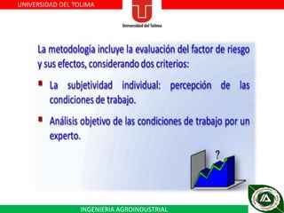 UNIVERSIDAD DEL TOLIMA

INGENIERIA AGROINDUSTRIAL

 