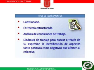 UNIVERSIDAD DEL TOLIMA

TIPOS DE INSTRUMENTOS

INGENIERIA AGROINDUSTRIAL

 