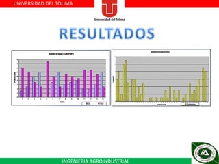 UNIVERSIDAD DEL TOLIMA

INGENIERIA AGROINDUSTRIAL

 