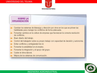 UNIVERSIDAD DEL TOLIMA

INGENIERIA AGROINDUSTRIAL

 