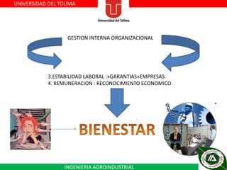 UNIVERSIDAD DEL TOLIMA

GESTION INTERNA ORGANIZACIONAL

3.ESTABILIDAD LABORAL :»GARANTIAS»EMPRESAS.
4. REMUNERACION : RECONOCIMIENTO ECONOMICO.

INGENIERIA AGROINDUSTRIAL

 