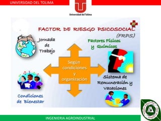 UNIVERSIDAD DEL TOLIMA

INGENIERIA AGROINDUSTRIAL

 