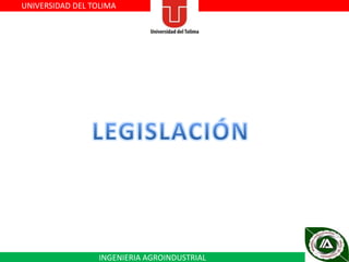 UNIVERSIDAD DEL TOLIMA

INGENIERIA AGROINDUSTRIAL

 